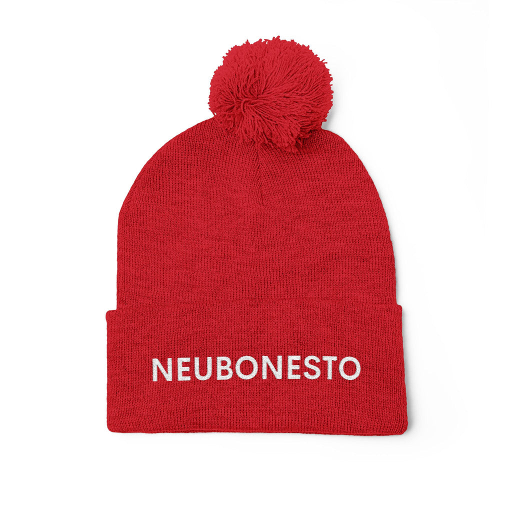 Neubonesto Pom-Pom Knit Cap