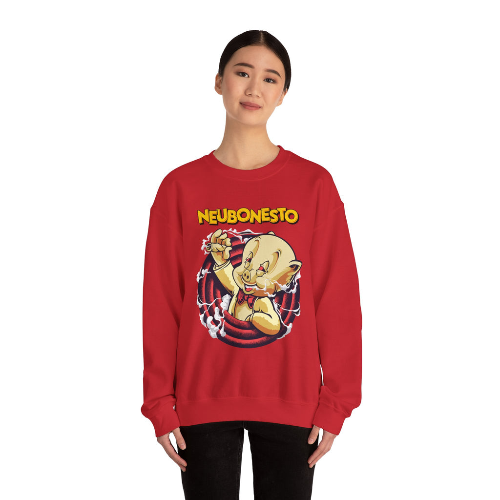 Neubonesto Vintage Cartoon Sweatshirt