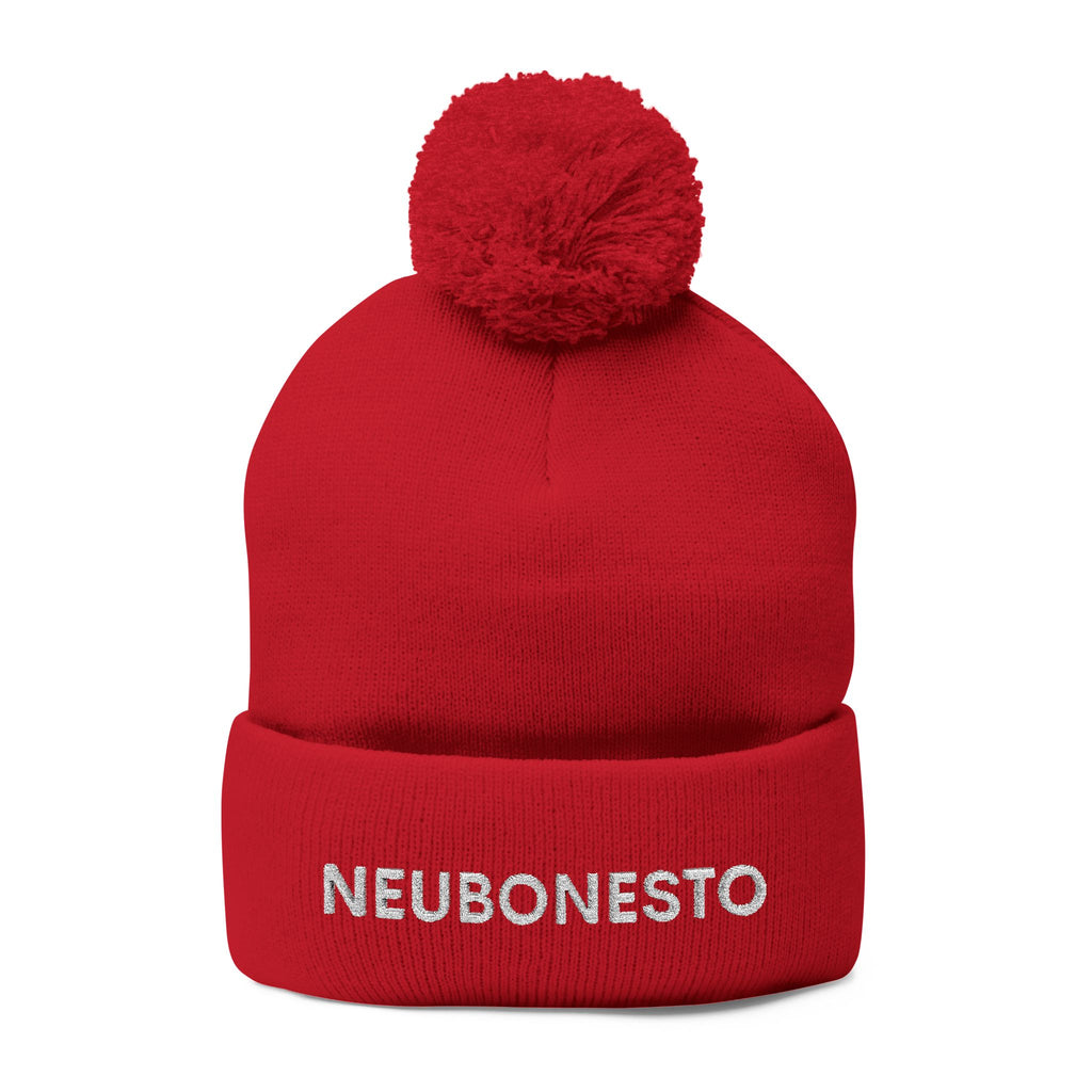 Neubonesto Pom-Pom Knit Cap